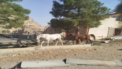 حمله رژیم کودک کش اسرائیل به دهکده المپیک کرمانشاه