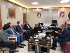 بهره مندی ۸۰درصد روستاهای شهرستان ازنا از اجرای طرح هادی روستایی